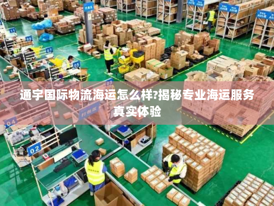 通宇国际物流海运怎么样?揭秘专业海运服务真实体验 通宇国际物流海运怎么样?揭秘专业海运服务真实体验