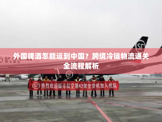 外国啤酒怎能运到中国?跨境冷链物流通关全流程解析 外国啤酒怎能运到中国?跨境冷链物流通关全流程解析