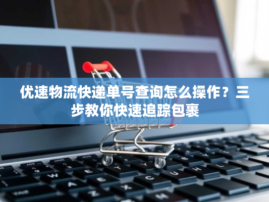 优速物流快递单号查询怎么操作？三步教你快速追踪包裹