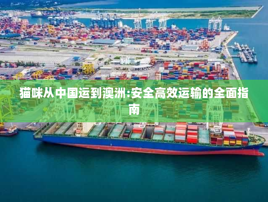 猫咪从中国运到澳洲:安全高效运输的全面指南 猫咪从中国运到澳洲:安全高效运输的全面指南