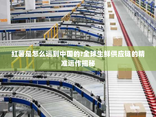 红薯是怎么运到中国的?全球生鲜供应链的精准运作揭秘