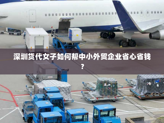 深圳货代女子如何帮中小外贸企业省心省钱? 深圳货代女子如何帮中小外贸企业省心省钱?