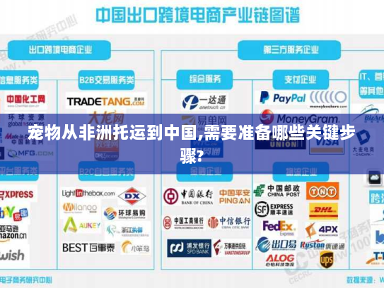 宠物从非洲托运到中国,需要准备哪些关键步骤?