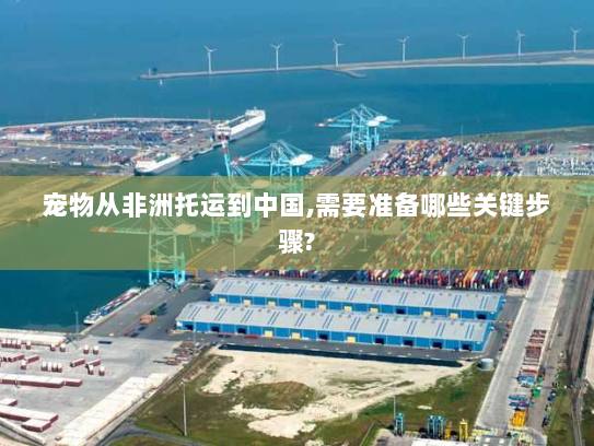 宠物从非洲托运到中国,需要准备哪些关键步骤?