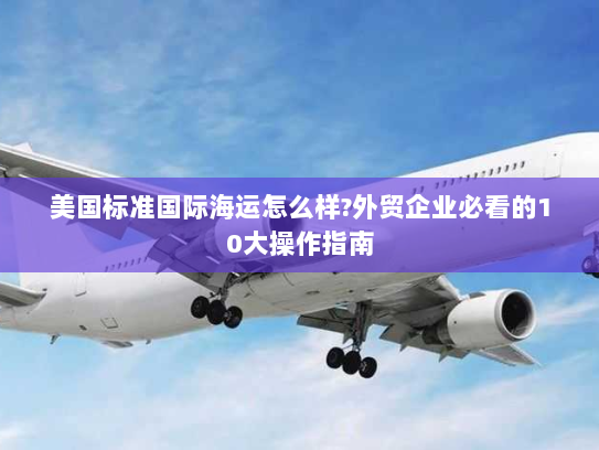 美国标准国际海运怎么样?外贸企业必看的10大操作指南 美国标准国际海运怎么样?外贸企业必看的10大操作指南
