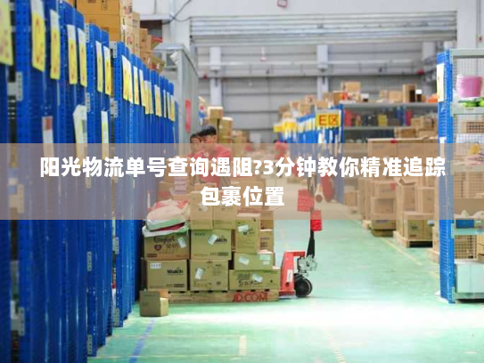 阳光物流单号查询遇阻?3分钟教你精准追踪包裹位置 阳光物流单号查询遇阻?3分钟教你精准追踪包裹位置