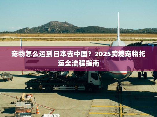 宠物怎么运到日本去中国?2025跨境宠物托运全流程指南 宠物怎么运到日本去中国?2025跨境宠物托运全流程指南