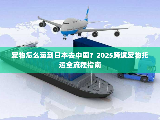宠物怎么运到日本去中国?2025跨境宠物托运全流程指南 宠物怎么运到日本去中国?2025跨境宠物托运全流程指南