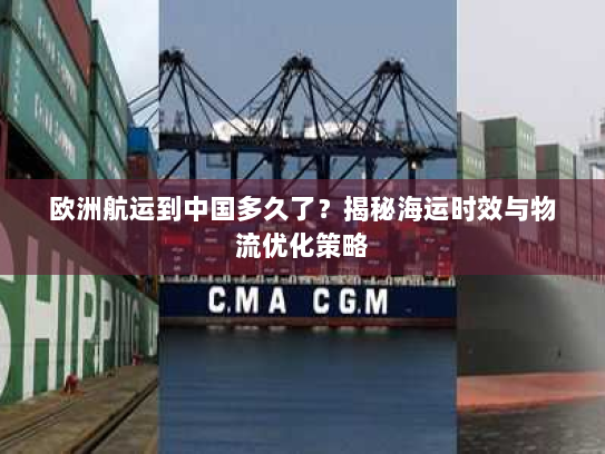 欧洲航运到中国多久了?揭秘海运时效与物流优化策略 欧洲航运到中国多久了?揭秘海运时效与物流优化策略