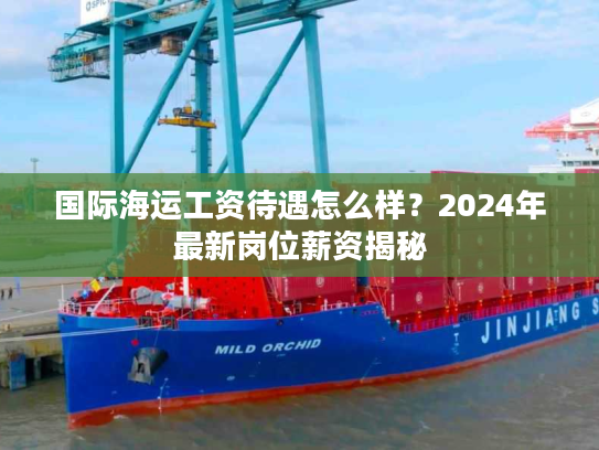 国际海运工资待遇怎么样？2024年最新岗位薪资揭秘