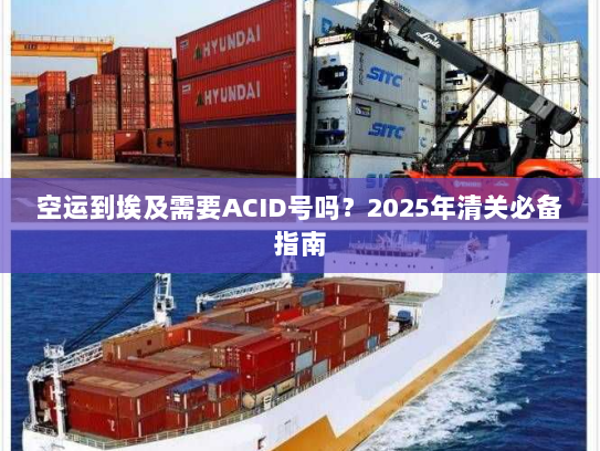 空运到埃及需要ACID号吗?2025年清关必备指南 空运到埃及需要ACID号吗?2025年清关必备指南