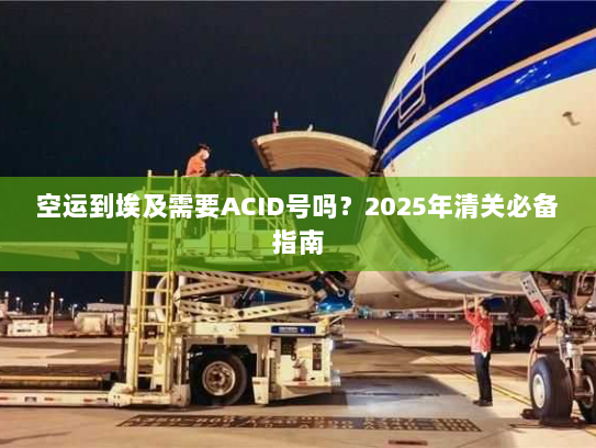 空运到埃及需要ACID号吗?2025年清关必备指南 空运到埃及需要ACID号吗?2025年清关必备指南