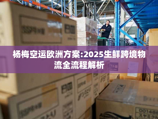 杨梅空运欧洲方案:2025生鲜跨境物流全流程解析