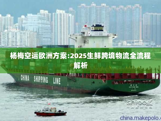 杨梅空运欧洲方案:2025生鲜跨境物流全流程解析 杨梅空运欧洲方案:2025生鲜跨境物流全流程解析
