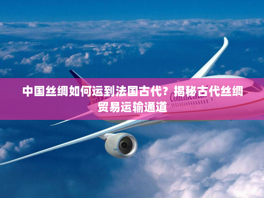 中国丝绸如何运到法国古代?揭秘古代丝绸贸易运输通道 中国丝绸如何运到法国古代?揭秘古代丝绸贸易运输通道