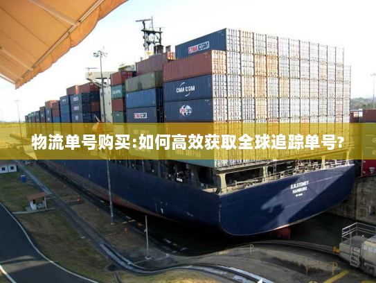 物流单号购买:如何高效获取全球追踪单号?