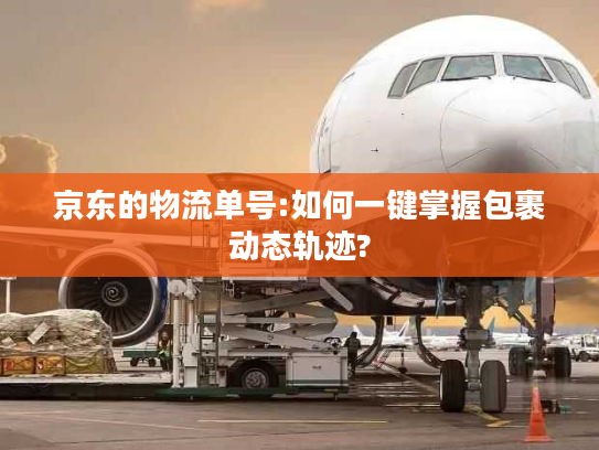 京东的物流单号:如何一键掌握包裹动态轨迹? 京东的物流单号:如何一键掌握包裹动态轨迹?