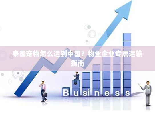 泰国宠物怎么运到中国?物业企业专属运输指南 泰国宠物怎么运到中国?物业企业专属运输指南