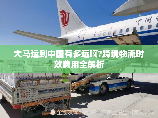 大马运到中国有多远啊?跨境物流时效费用全解析