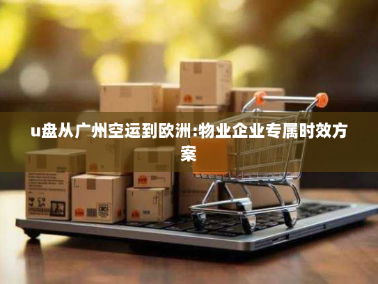 u盘从广州空运到欧洲:物业企业专属时效方案 u盘从广州空运到欧洲:物业企业专属时效方案