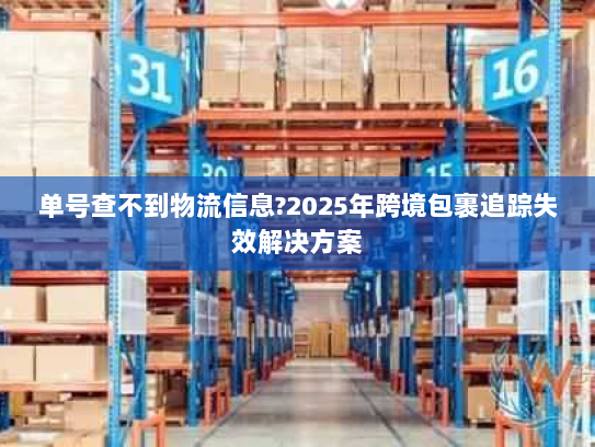 单号查不到物流信息?2025年跨境包裹追踪失效解决方案 单号查不到物流信息?2025年跨境包裹追踪失效解决方案