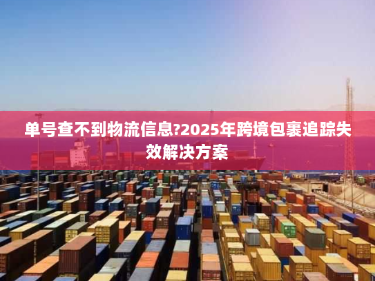 单号查不到物流信息?2025年跨境包裹追踪失效解决方案 单号查不到物流信息?2025年跨境包裹追踪失效解决方案