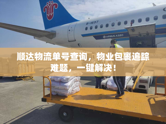 顺达物流单号查询,物业包裹追踪难题,一键解决! 顺达物流单号查询,物业包裹追踪难题,一键解决!