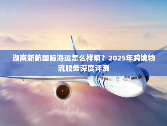 湖南新航国际海运怎么样啊？2025年跨境物流服务深度评测