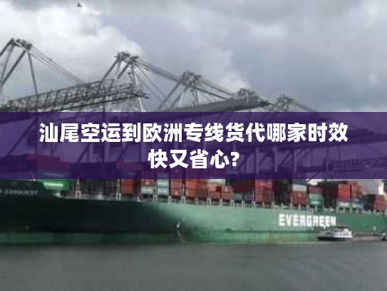 汕尾空运到欧洲专线货代哪家时效快又省心?