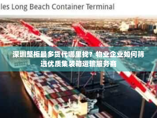 深圳整柜最多货代哪里找？物业企业如何筛选优质集装箱运输服务商