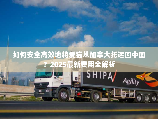 如何安全高效地将爱猫从加拿大托运回中国?2025最新费用全解析 如何安全高效地将爱猫从加拿大托运回中国?2025最新费用全解析