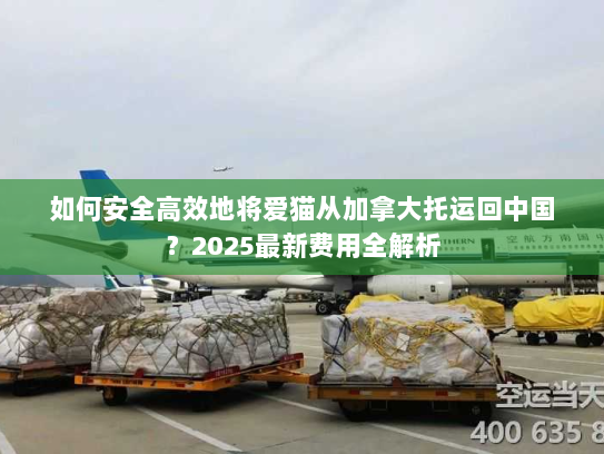 如何安全高效地将爱猫从加拿大托运回中国?2025最新费用全解析 如何安全高效地将爱猫从加拿大托运回中国?2025最新费用全解析