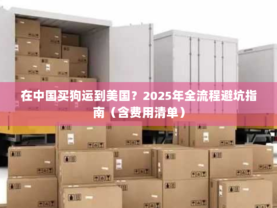 在中国买狗运到美国?2025年全流程避坑指南(含费用清单) 在中国买狗运到美国?2025年全流程避坑指南(含费用清单)