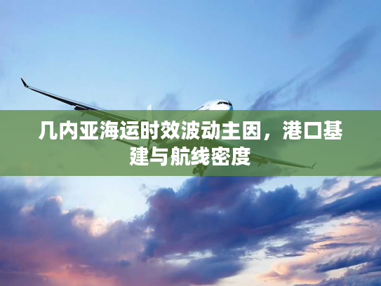 几内亚海运时效波动主因，港口基建与航线密度