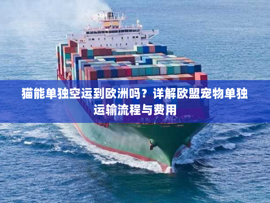 猫能单独空运到欧洲吗?详解欧盟宠物单独运输流程与费用 猫能单独空运到欧洲吗?详解欧盟宠物单独运输流程与费用