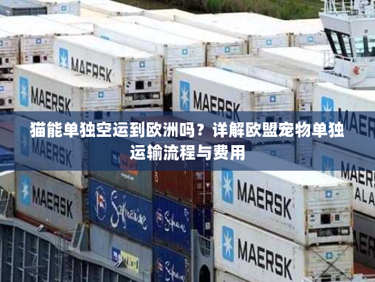 猫能单独空运到欧洲吗?详解欧盟宠物单独运输流程与费用 猫能单独空运到欧洲吗?详解欧盟宠物单独运输流程与费用