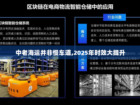 中老海运并非慢车道,2025年时效大提升 中老海运并非慢车道,2025年时效大提升
