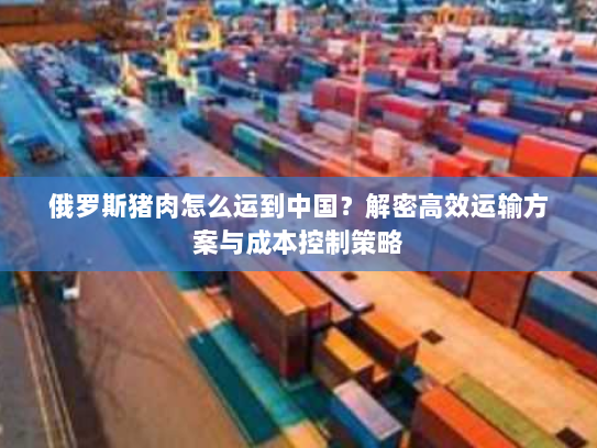 俄罗斯猪肉怎么运到中国?解密高效运输方案与成本控制策略 俄罗斯猪肉怎么运到中国?解密高效运输方案与成本控制策略