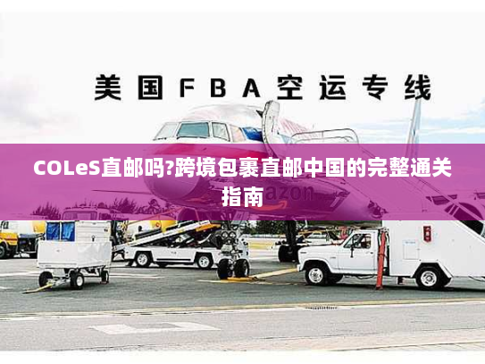COLeS直邮吗?跨境包裹直邮中国的完整通关指南 COLeS直邮吗?跨境包裹直邮中国的完整通关指南