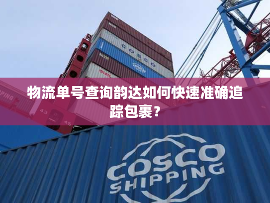 物流单号查询韵达如何快速准确追踪包裹？