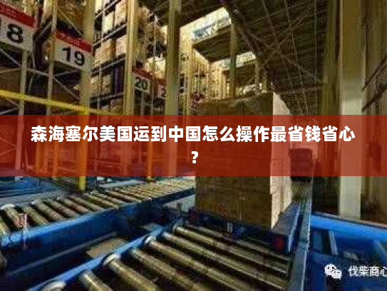 森海塞尔美国运到中国怎么操作最省钱省心？