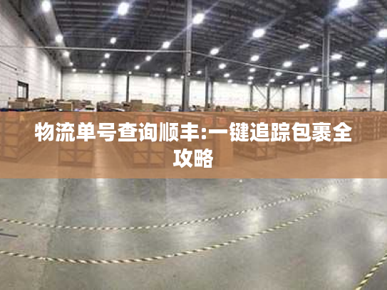 物流单号查询顺丰:一键追踪包裹全攻略