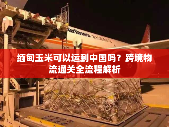 缅甸玉米可以运到中国吗？跨境物流通关全流程解析