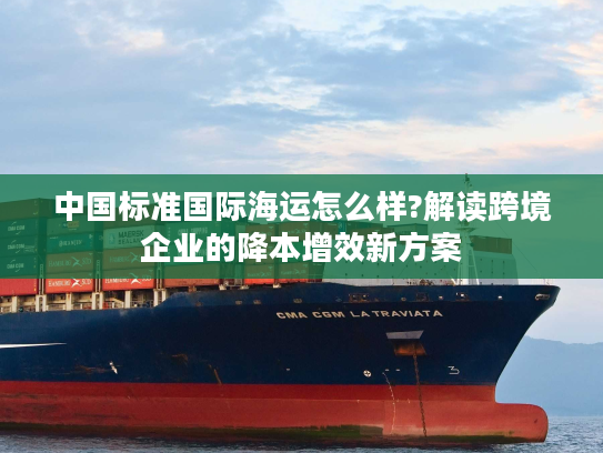 中国标准国际海运怎么样?解读跨境企业的降本增效新方案