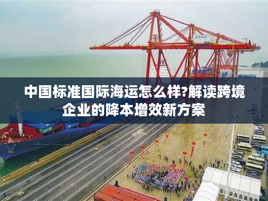中国标准国际海运怎么样?解读跨境企业的降本增效新方案