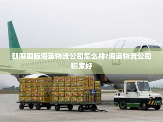 朝阳国际海运物流公司怎么样?海运物流公司哪家好 朝阳国际海运物流公司怎么样?海运物流公司哪家好
