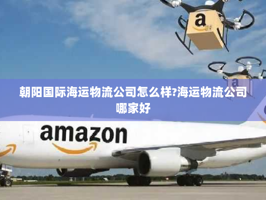 朝阳国际海运物流公司怎么样?海运物流公司哪家好 朝阳国际海运物流公司怎么样?海运物流公司哪家好