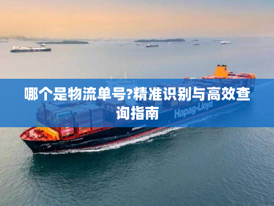 哪个是物流单号?精准识别与高效查询指南 哪个是物流单号?精准识别与高效查询指南