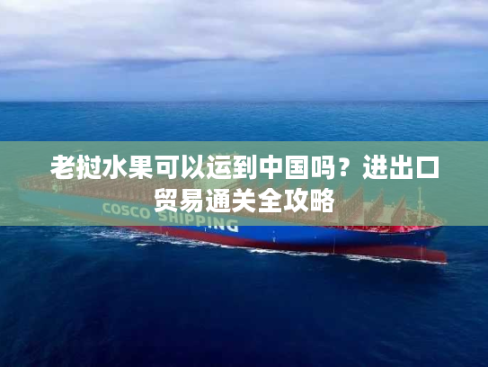 老挝水果可以运到中国吗？进出口贸易通关全攻略