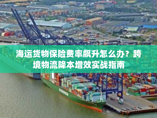 海运货物保险费率飙升怎么办？跨境物流降本增效实战指南